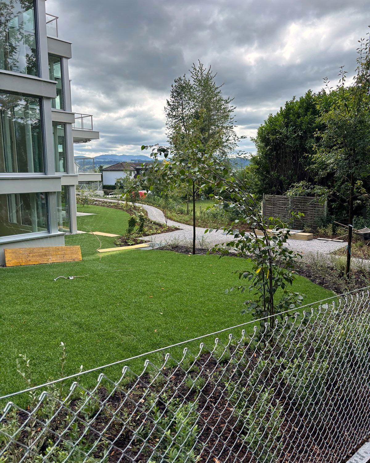 Gartenseite mit Rasen und jungen Bäumen