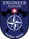 Abzeichen Engineer Platoon
